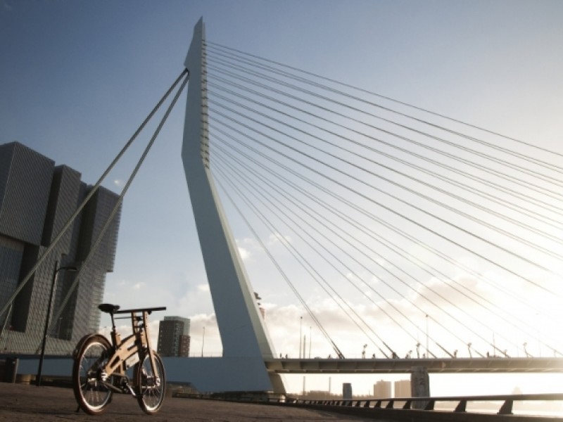 Bough bikes