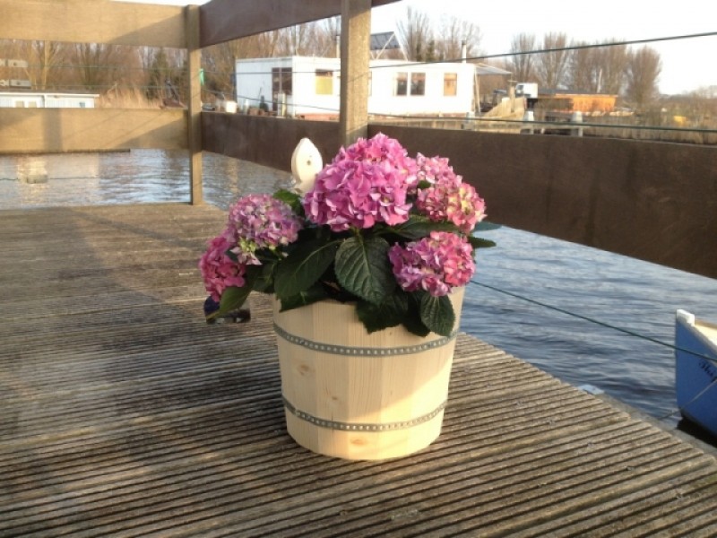 Workshop houtbewerking