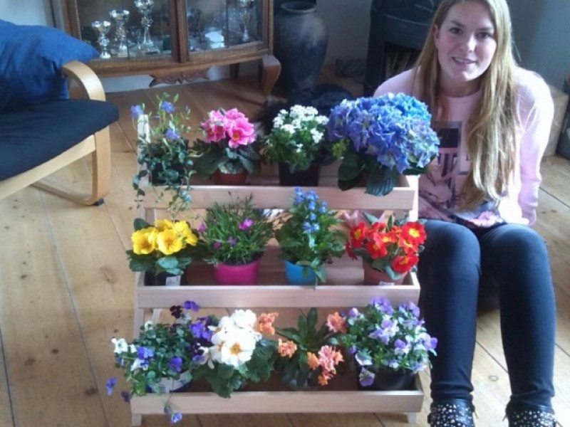 Workshop houtbewerking